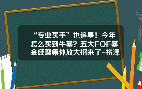 “专业买手”也追星！今年怎么买到牛基？五大FOF基金经理集体放大招来了-裕泽基金