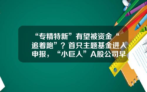 “专精特新”有望被资金“追着跑”？首只主题基金进入申报，“小巨人”A股公司早被公募提前布局-洛基金