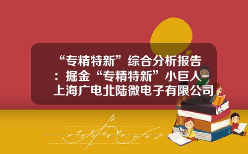 “专精特新”综合分析报告：掘金“专精特新”小巨人-上海广电北陆微电子有限公司