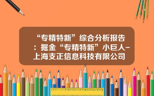 “专精特新”综合分析报告：掘金“专精特新”小巨人-上海支正信息科技有限公司