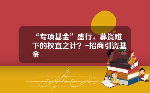 “专项基金”盛行，募资难下的权宜之计？-招商引资基金