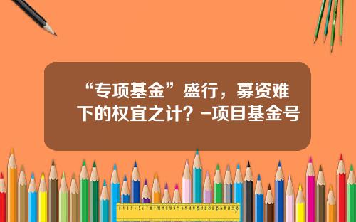 “专项基金”盛行，募资难下的权宜之计？-项目基金号