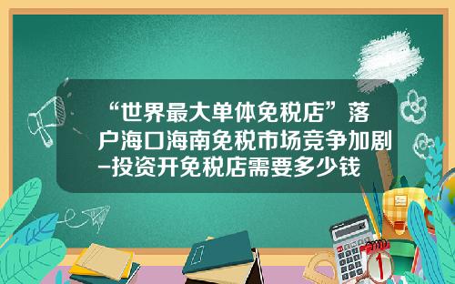 “世界最大单体免税店”落户海口海南免税市场竞争加剧-投资开免税店需要多少钱