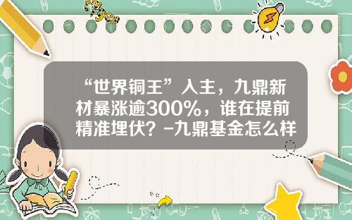 “世界铜王”入主，九鼎新材暴涨逾300%，谁在提前精准埋伏？-九鼎基金怎么样