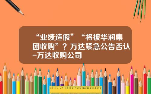 “业绩造假”“将被华润集团收购”？万达紧急公告否认-万达收购公司