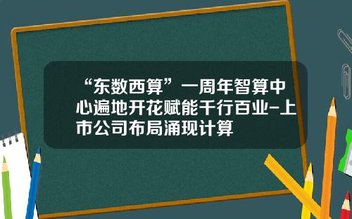 “东数西算”一周年智算中心遍地开花赋能千行百业-上市公司布局涌现计算