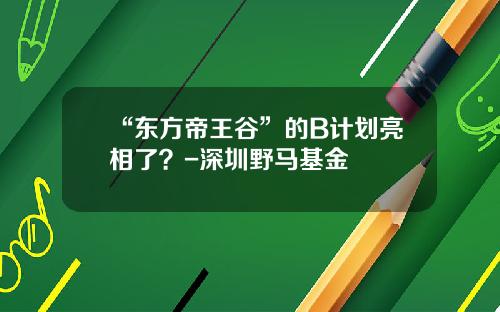 “东方帝王谷”的B计划亮相了？-深圳野马基金