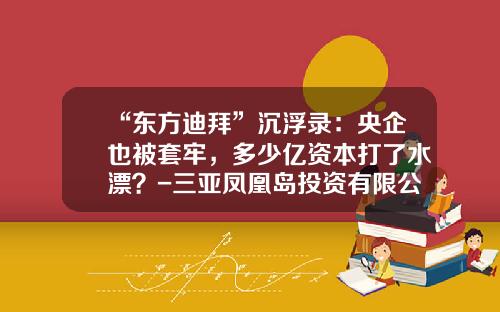“东方迪拜”沉浮录：央企也被套牢，多少亿资本打了水漂？-三亚凤凰岛投资有限公司