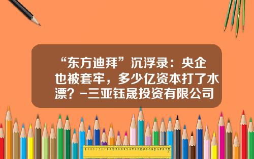 “东方迪拜”沉浮录：央企也被套牢，多少亿资本打了水漂？-三亚钰晟投资有限公司