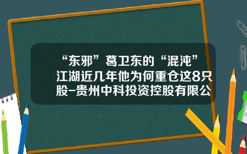“东邪”葛卫东的“混沌”江湖近几年他为何重仓这8只股-贵州中科投资控股有限公司