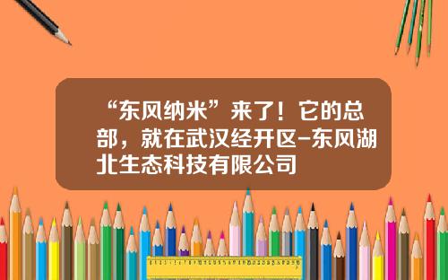 “东风纳米”来了！它的总部，就在武汉经开区-东风湖北生态科技有限公司
