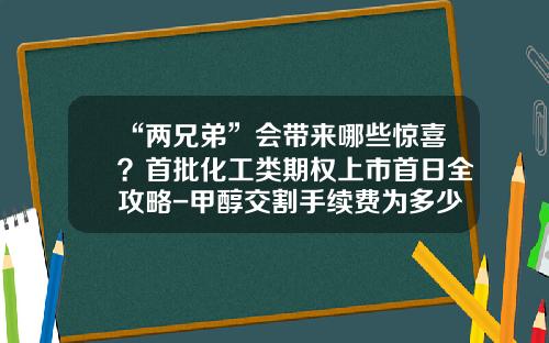 “两兄弟”会带来哪些惊喜？首批化工类期权上市首日全攻略-甲醇交割手续费为多少
