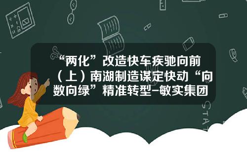 “两化”改造快车疾驰向前（上）南湖制造谋定快动“向数向绿”精准转型-敏实集团嘉兴有限公司