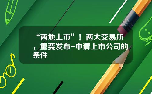“两地上市”！两大交易所，重要发布-申请上市公司的条件