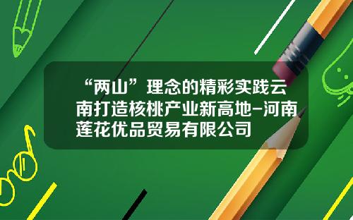 “两山”理念的精彩实践云南打造核桃产业新高地-河南莲花优品贸易有限公司