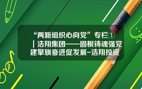 “两新组织心向党”专栏①｜浩翔集团——固根铸魂强党建擎旗奋进促发展-浩翔投资控股有限公司