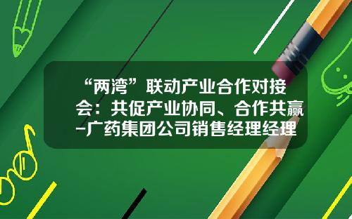“两湾”联动产业合作对接会：共促产业协同、合作共赢-广药集团公司销售经理经理桂大陆