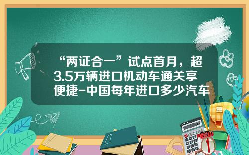 “两证合一”试点首月，超3.5万辆进口机动车通关享便捷-中国每年进口多少汽车