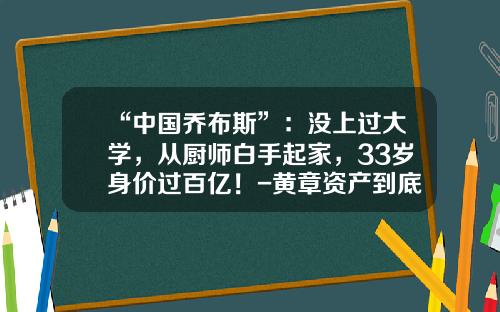 “中国乔布斯”：没上过大学，从厨师白手起家，33岁身价过百亿！-黄章资产到底有多少