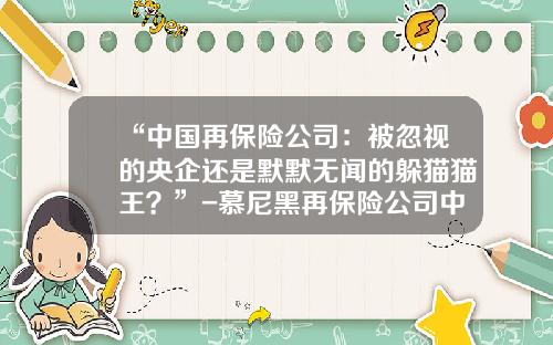 “中国再保险公司：被忽视的央企还是默默无闻的躲猫猫王？”-慕尼黑再保险公司中国