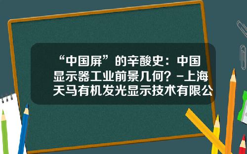 “中国屏”的辛酸史：中国显示器工业前景几何？-上海天马有机发光显示技术有限公司网站