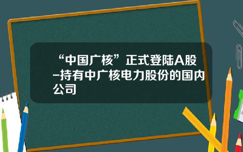 “中国广核”正式登陆A股-持有中广核电力股份的国内公司