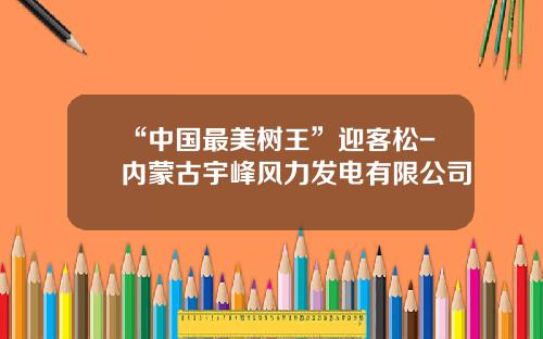 “中国最美树王”迎客松-内蒙古宇峰风力发电有限公司