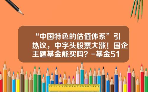 “中国特色的估值体系”引热议，中字头股票大涨！国企主题基金能买吗？-基金519756