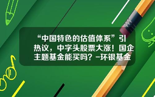 “中国特色的估值体系”引热议，中字头股票大涨！国企主题基金能买吗？-环银基金