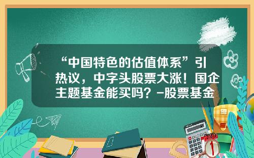 “中国特色的估值体系”引热议，中字头股票大涨！国企主题基金能买吗？-股票基金好
