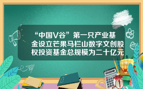 “中国V谷”第一只产业基金设立芒果马栏山数字文创股权投资基金总规模为二十亿元-芒果文创基金