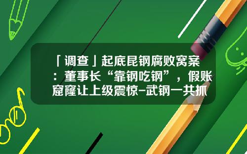 「调查」起底昆钢腐败窝案：董事长“靠钢吃钢”，假账窟窿让上级震惊-武钢一共抓了多少人