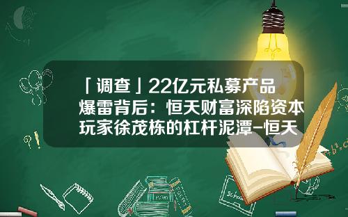 「调查」22亿元私募产品爆雷背后：恒天财富深陷资本玩家徐茂栋的杠杆泥潭-恒天集团下属上市公司