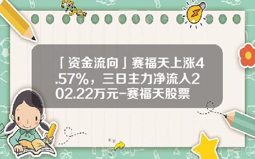 「资金流向」赛福天上涨4.57%，三日主力净流入202.22万元-赛福天股票能涨多少