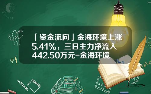 「资金流向」金海环境上涨5.41%，三日主力净流入442.50万元-金海环境能涨到多少