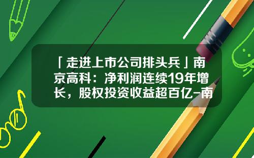 「走进上市公司排头兵」南京高科：净利润连续19年增长，股权投资收益超百亿-南京高科股份有限公司