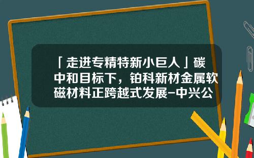 「走进专精特新小巨人」碳中和目标下，铂科新材金属软磁材料正跨越式发展-中兴公司产品的成本优势是什么