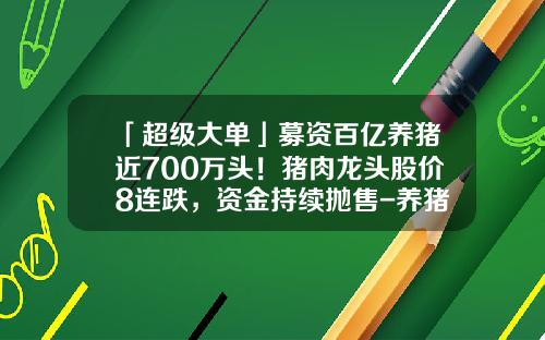 「超级大单」募资百亿养猪近700万头！猪肉龙头股价8连跌，资金持续抛售-养猪上市公司龙头股