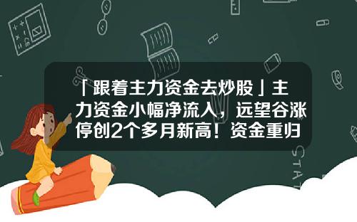 「跟着主力资金去炒股」主力资金小幅净流入，远望谷涨停创2个多月新高！资金重归这10股-远望谷股能涨到多少
