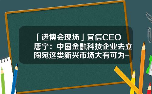「进博会现场」宜信CEO唐宁：中国金融科技企业去立陶宛这类新兴市场大有可为-宜信公司ceo唐宁