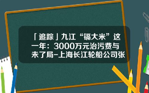 「追踪」九江“镉大米”这一年：3000万元治污费与未了局-上海长江轮船公司张路