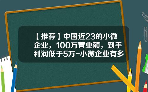 【推荐】中国近23的小微企业，100万营业额，到手利润低于5万-小微企业有多少