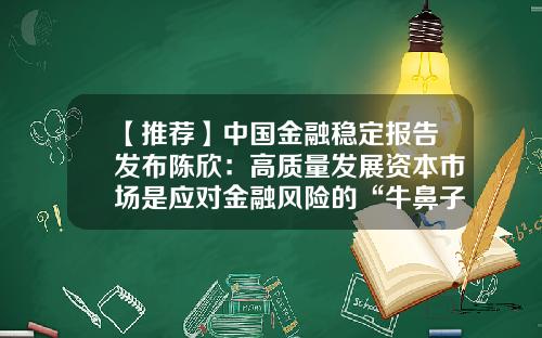 【推荐】中国金融稳定报告发布陈欣：高质量发展资本市场是应对金融风险的“牛鼻子”洞见-基金经理陈欣