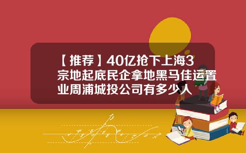【推荐】40亿抢下上海3宗地起底民企拿地黑马佳运置业周浦城投公司有多少人