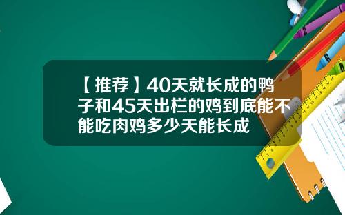 【推荐】40天就长成的鸭子和45天出栏的鸡到底能不能吃肉鸡多少天能长成