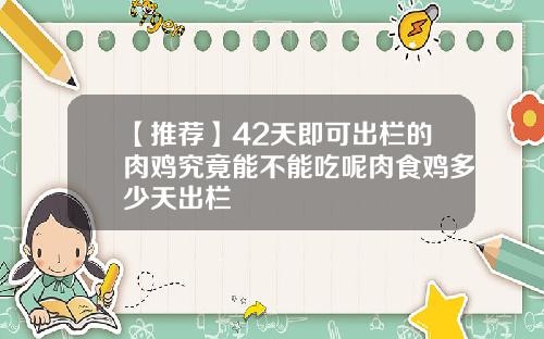 【推荐】42天即可出栏的肉鸡究竟能不能吃呢肉食鸡多少天出栏