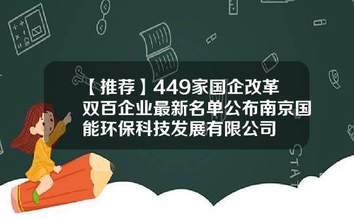 【推荐】449家国企改革双百企业最新名单公布南京国能环保科技发展有限公司