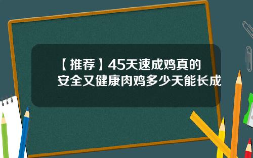 【推荐】45天速成鸡真的安全又健康肉鸡多少天能长成