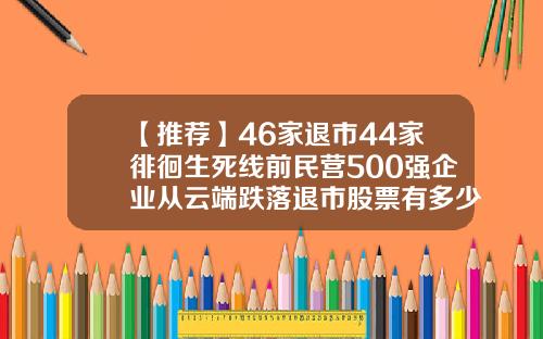 【推荐】46家退市44家徘徊生死线前民营500强企业从云端跌落退市股票有多少