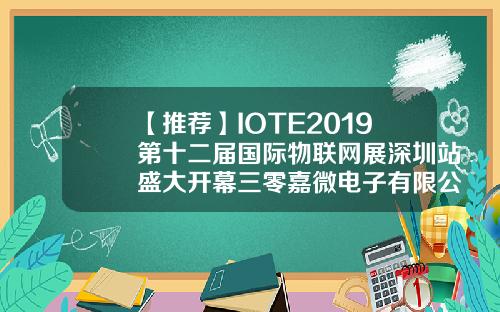 【推荐】IOTE2019第十二届国际物联网展深圳站盛大开幕三零嘉微电子有限公司